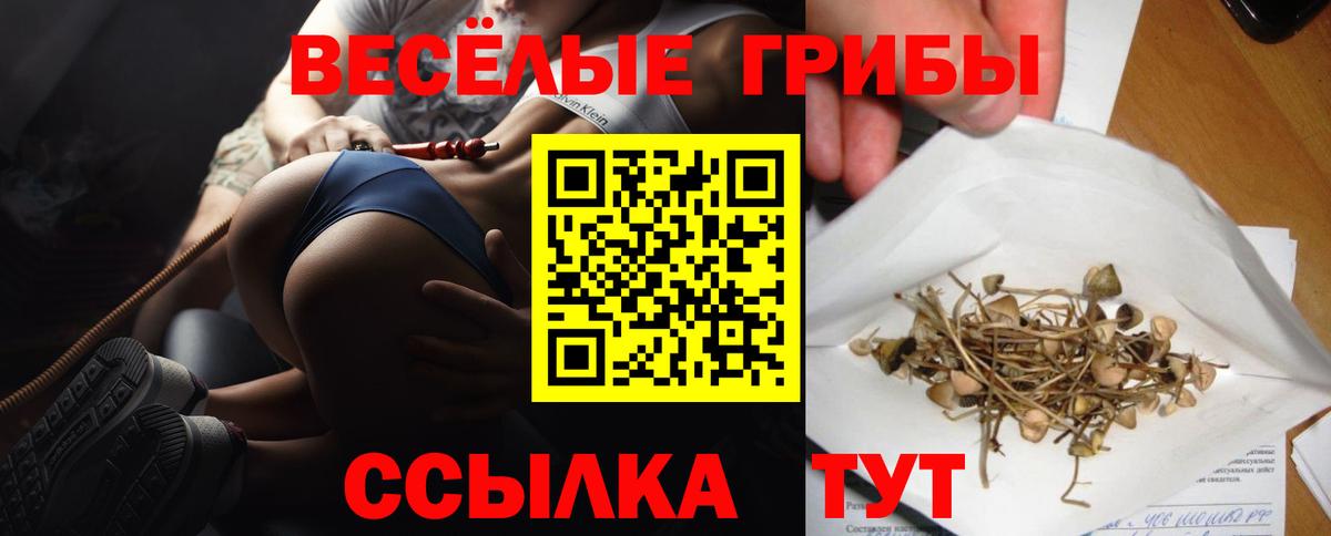 Альфа ПВП СК кристаллы  Вход с VPN  Кирово-Чепецк  MDMA  Где продают наркотики?  Меф   ГАШИШ  Каннабис  COCAIN  ГАШИШ 